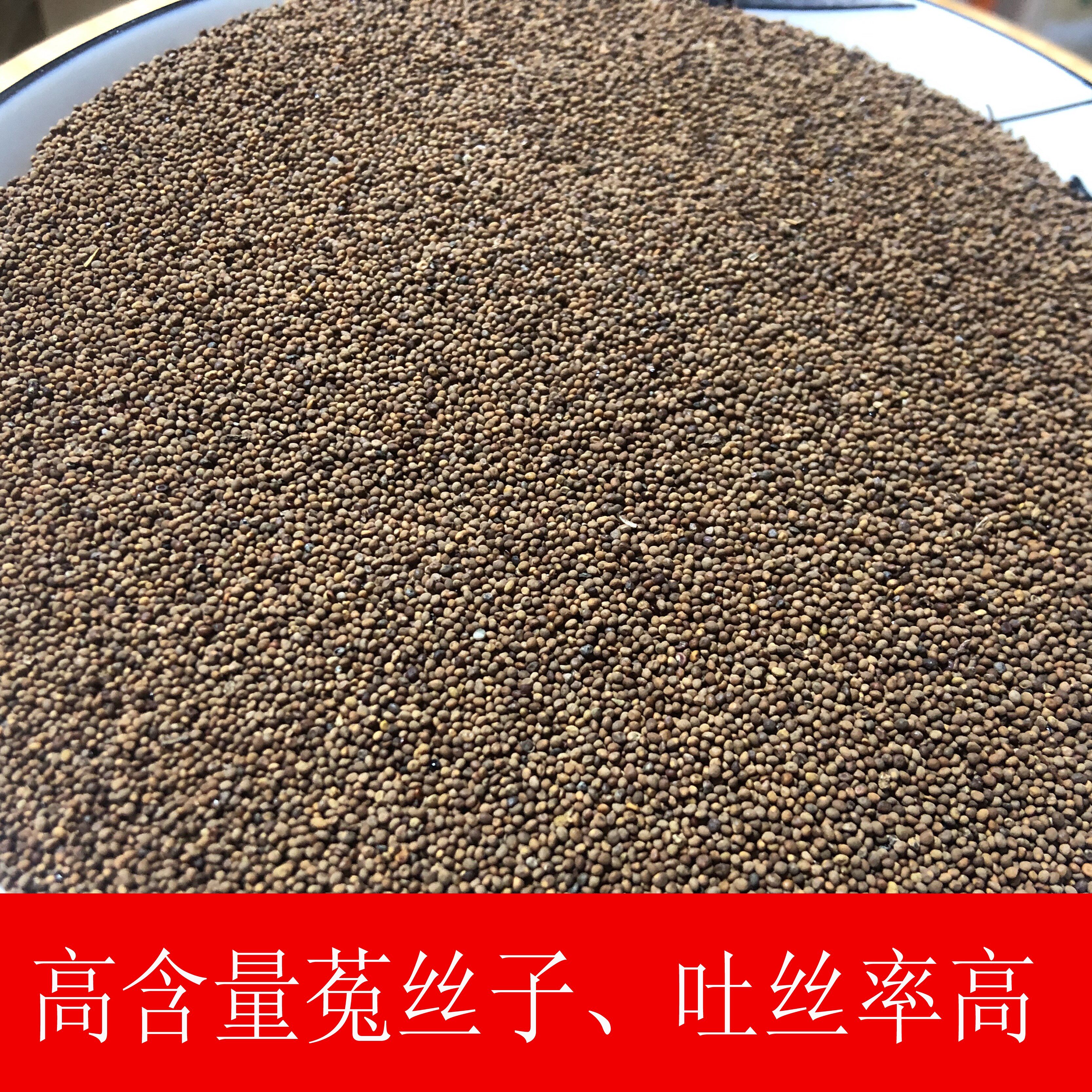 菟丝子中药材男性泡水泡酒