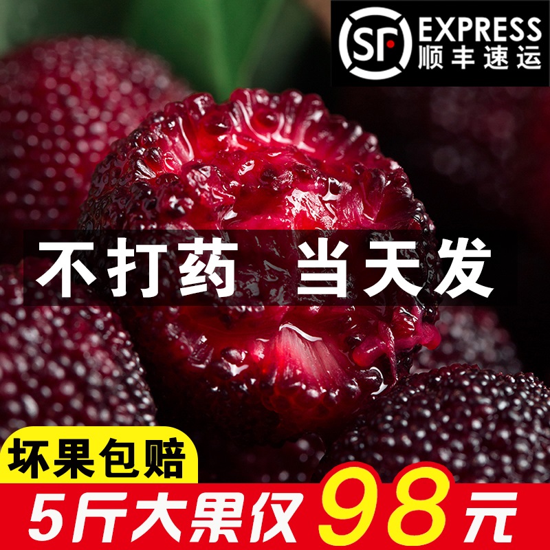 慈溪杨梅新鲜当季孕妇水果余姚鲜杨梅非仙居东魁现摘现发5斤包邮