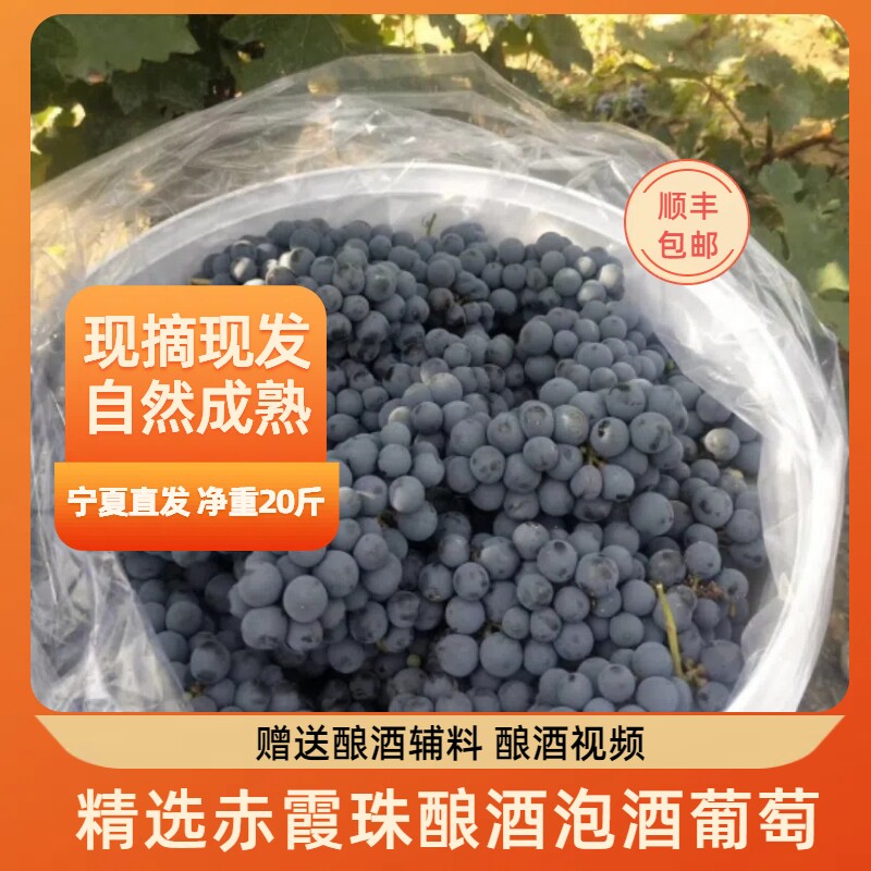 宁夏贺兰山赤霞珠酿酒葡萄自酿泡酒专用葡萄新鲜小山葡萄20斤包邮