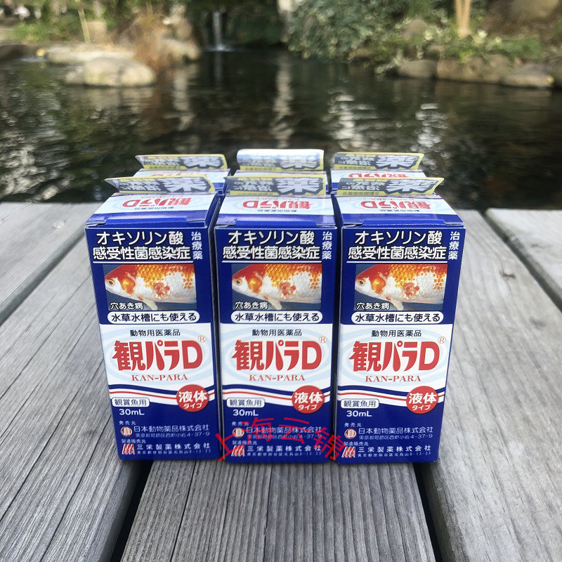 日本进口帕拉松d鱼池缸锦鲤热带观赏鱼金鱼烂身烂尾炸鳞松鳞杀菌
