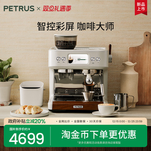 柏翠PE3899Pro双锅炉冷萃意式浓缩咖啡机半全自动家用研磨一体