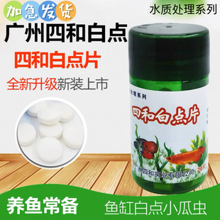 四和白点片水处理观赏鱼白点净泰狮兰寿金鱼白点锦鲤龙鱼小瓜虫