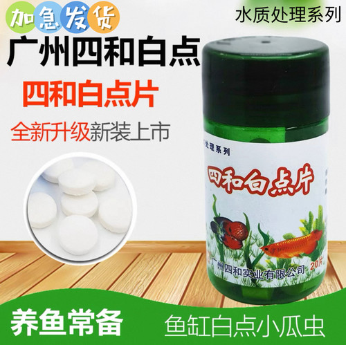 四和白点片水处理观赏鱼白点净