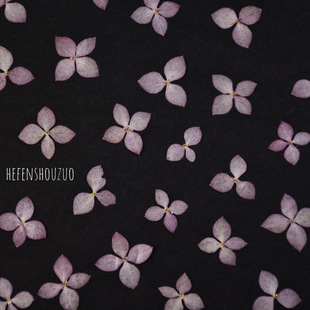 迷你原色绣球干花滴胶耳饰真花押花 火漆印章diy材料滴胶手机壳