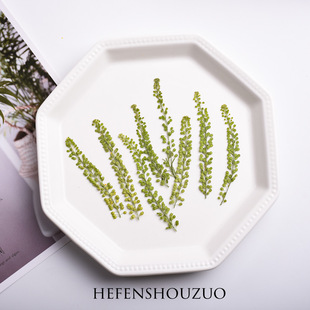 河粉手作ins风干花植物独行菜干花ins小清新真花diy杯垫手工材料