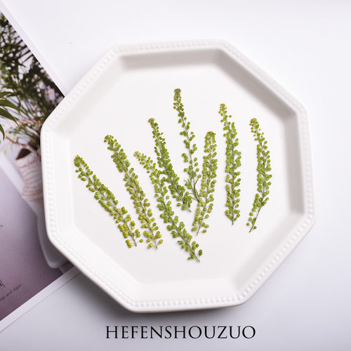 河粉手作ins风干花植物独行菜干花ins小清新真花diy杯垫手工材料