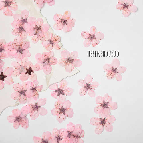 滴胶手机壳真花压花染色桃花