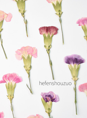 康乃馨真花压花植物手作 diy滴胶杯垫封入物相框装饰家居小清新