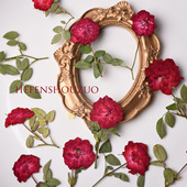 6枝装 干花押花滴胶胸针材料 正红色带枝玫瑰花标本 一支玫瑰花