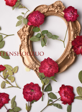 一支玫瑰花 正红色带枝玫瑰花标本 干花押花滴胶胸针材料 6枝装