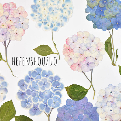 带枝绣球真花压花手工diy材料