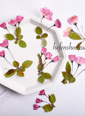 紫色带枝樱花 海棠真花花压花材料火漆印章滴胶手机壳杯垫装饰diy