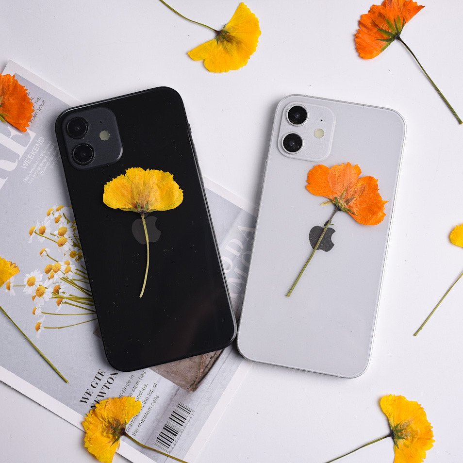 琉璃菊干花压花相框diy手工材料