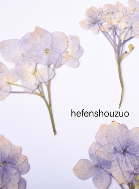 绣球干花押花火漆diy材料滴胶