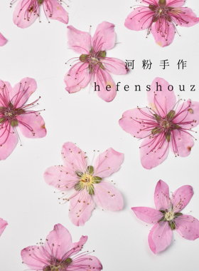 桃花压花手工diy材料装饰