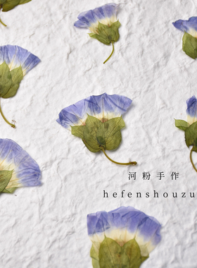牵牛花真花押花手工材料