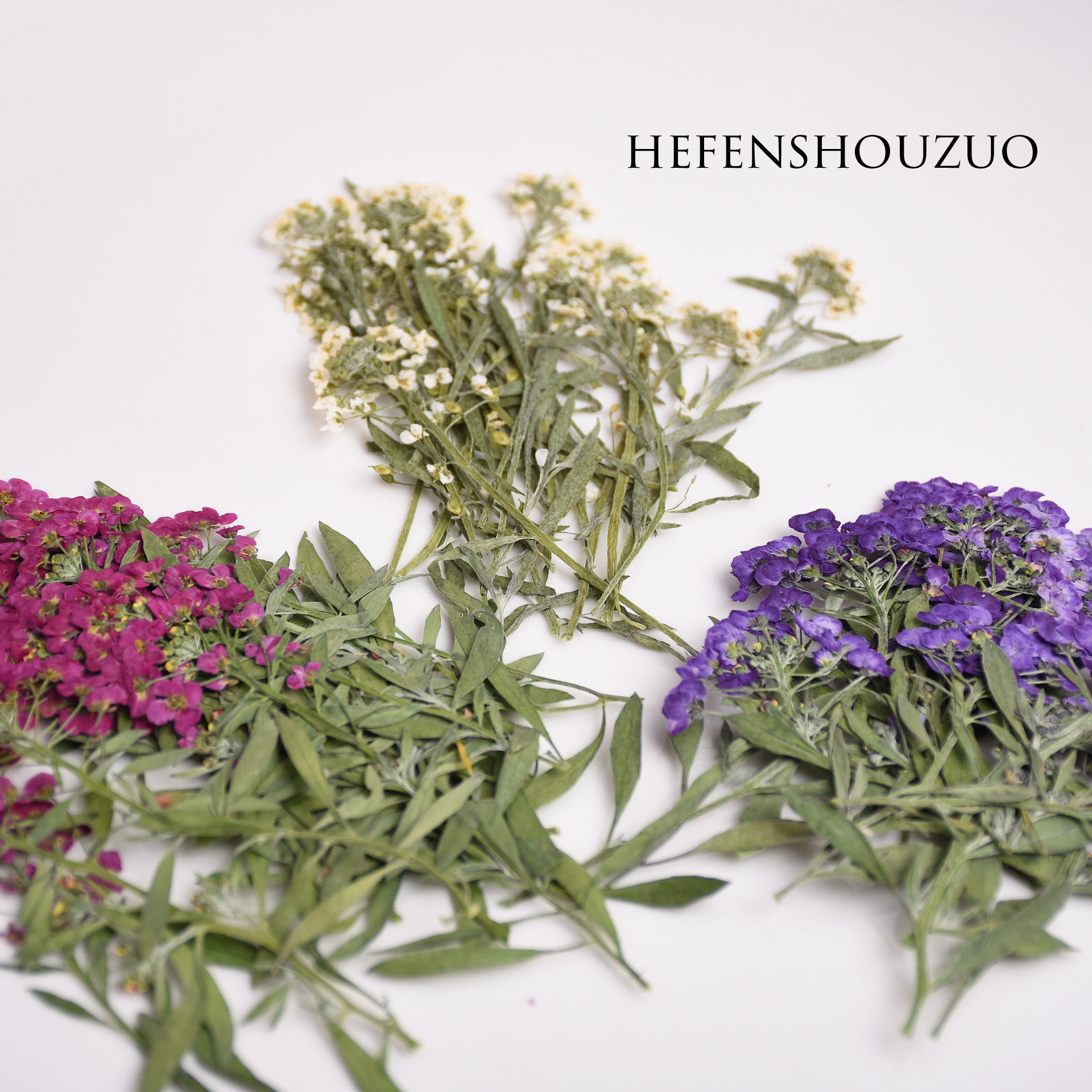 香雪球干花压花客厅装饰手机壳滴胶diy幼儿园手工干花包紫色,家居饰品,干花/花瓣/干花包/干树枝,淘宝优惠券,粉丝福利购,淘宝优惠卷