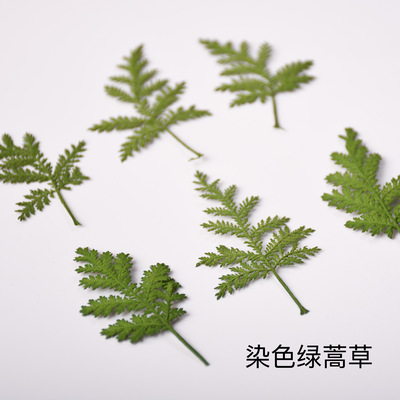 蒿草幼儿园永生花河粉手作滴胶