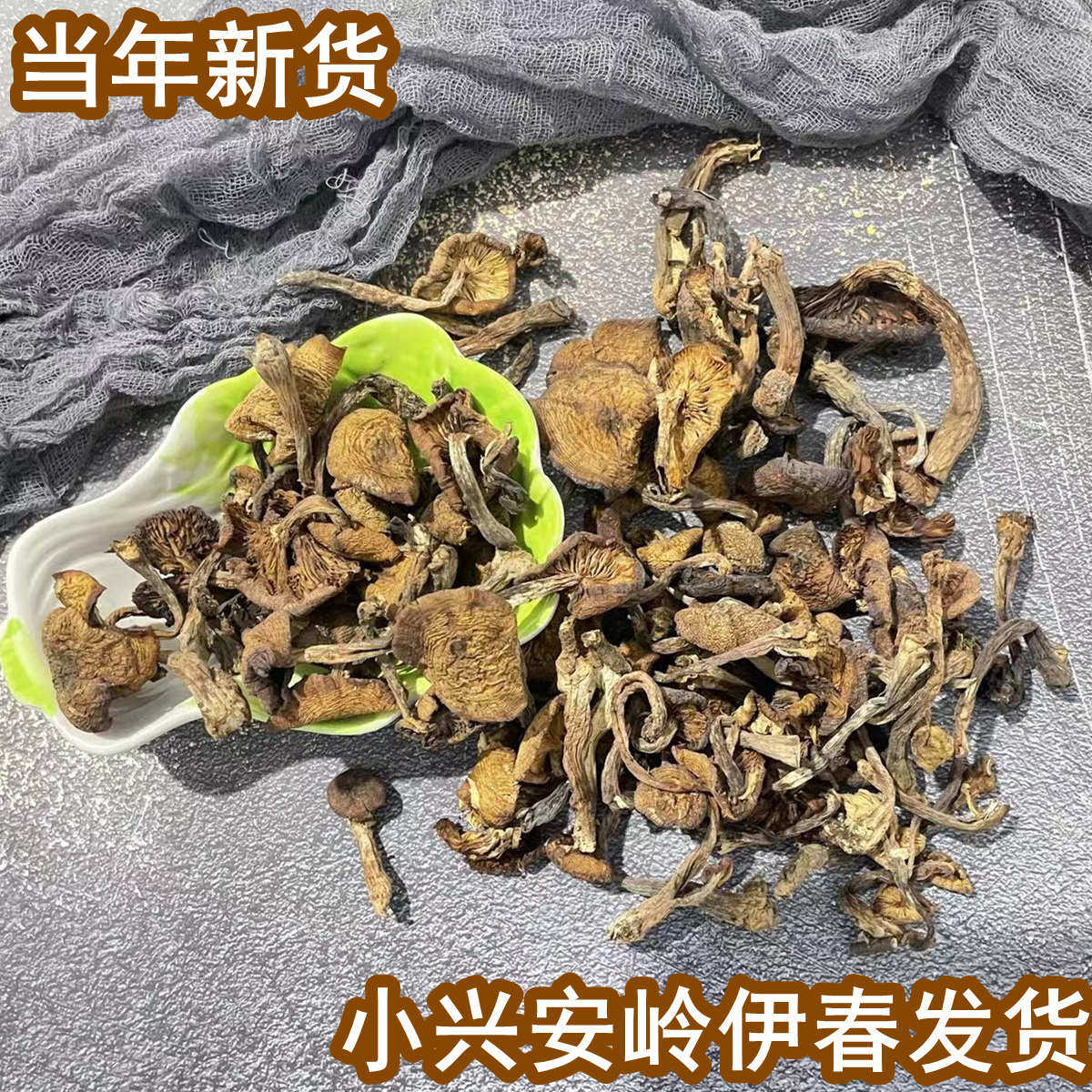 新野生榛蘑干货东北小兴安岭伊春特产自然晾晒小鸡炖蘑菇名菜蘑菇