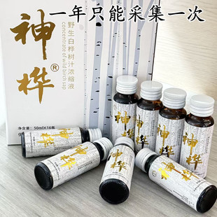 野生白桦树汁浓缩液小兴安岭白桦林寒带采集饮料黑龙江伊春特产