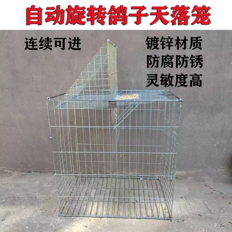 只进不出鸽子笼镀锌陷阱笼网自动翻转捕笼捉自动门户外撞门笼拼装