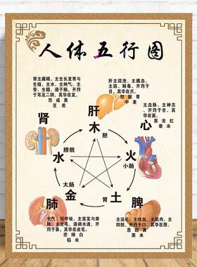中医养生馆五行图解挂图挂画定制 人体五行五脏相生相克海报贴图