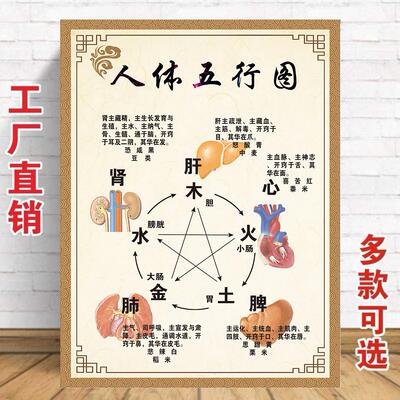 中医养生馆五行图解挂图挂画定制 人体五行五脏相生相克海报贴图