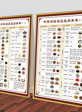 中医养生中药功效适应症归类分类表中药配伍禁忌中药药性应用挂图