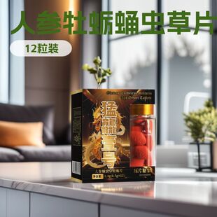 适合中老年男士 人参牡蛎蛹虫草片12粒快手抖音热销现货批发代发