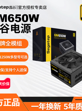 鑫谷GM650W系列额定650W 750W 850W全模组台式机电脑金牌游戏电源