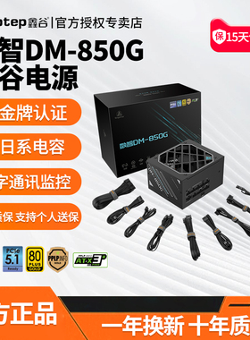 鑫谷数智DM-850G双金牌数字台式机电脑电源额定850W模组电竞电源