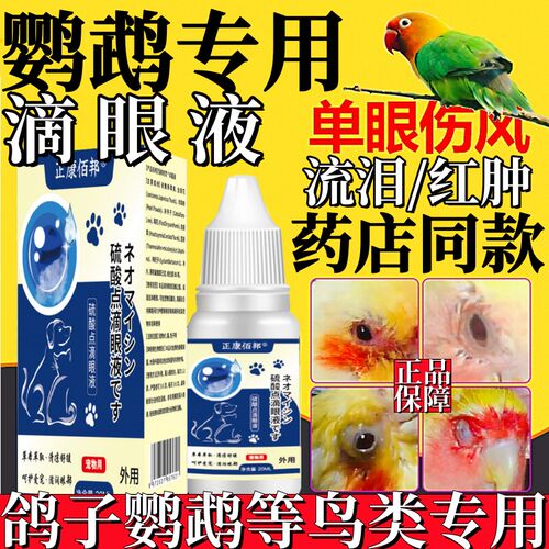 鹦鹉单眼伤风特效药眼睛发炎睁不开牡丹玄凤虎皮滴眼液专用眼药水