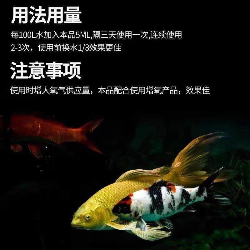 鱼白点病药观赏鱼长白点锦鲤鱼白毛病烂尾炸鳞疾病专用杀菌白点清