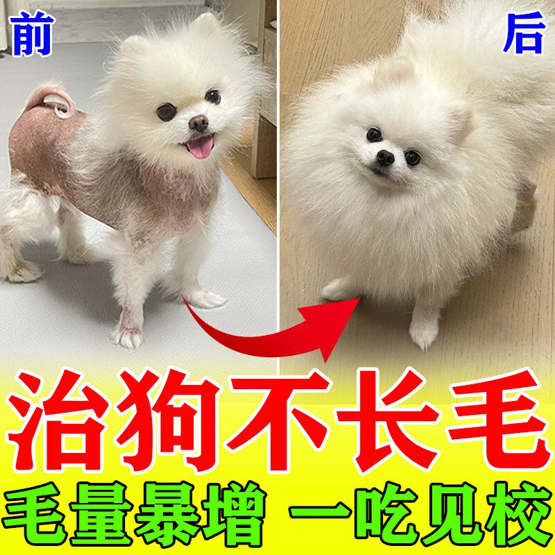 博美爆毛粉狗狗快速长毛增毛剂斑秃毛发稀疏不长毛掉毛的药护毛片