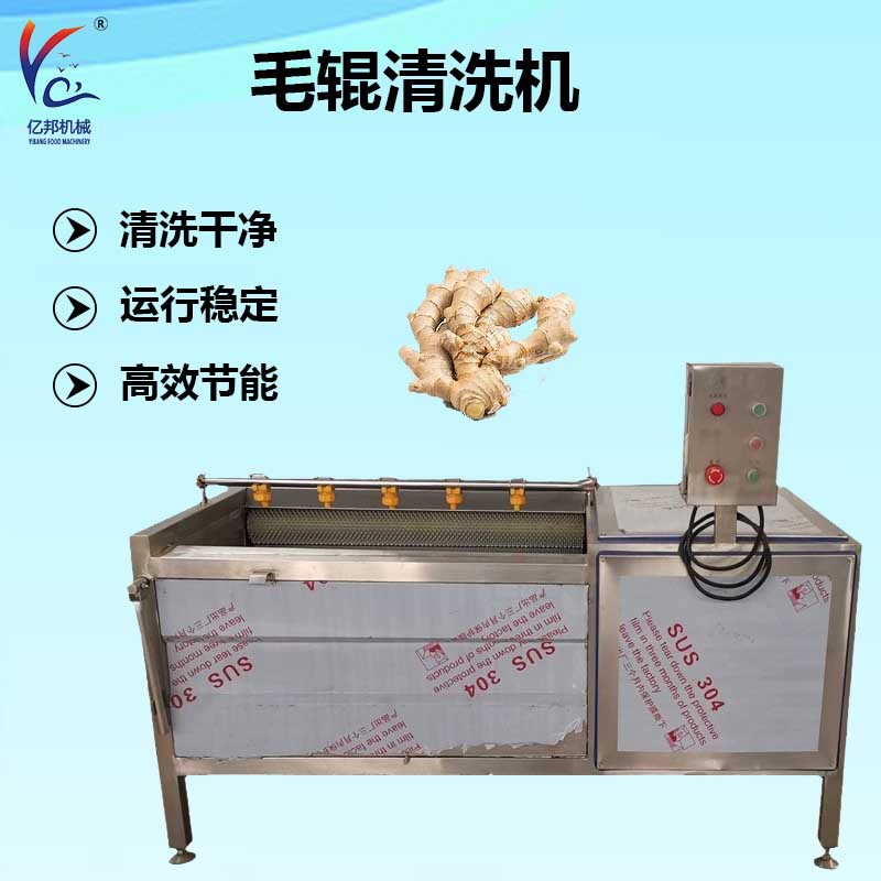 多功能毛辊药材去泥清洗机