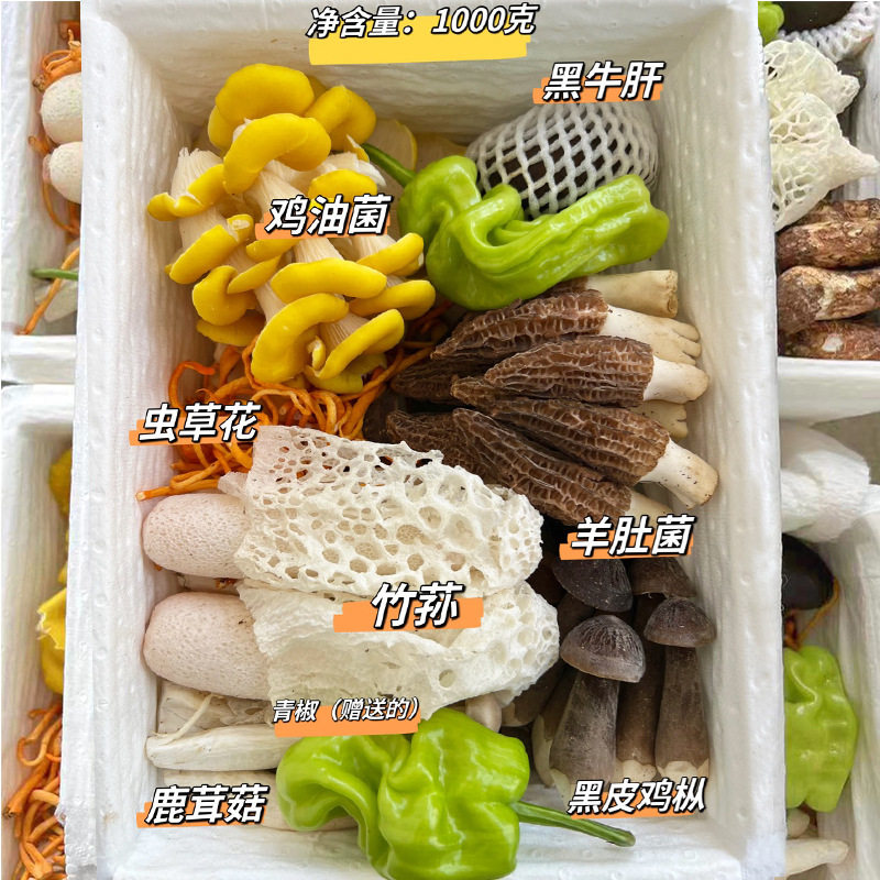 彩云之珍 云南七彩鲜菌菇组合 顺丰空运 煲汤爆炒火锅鲜蘑菇食材