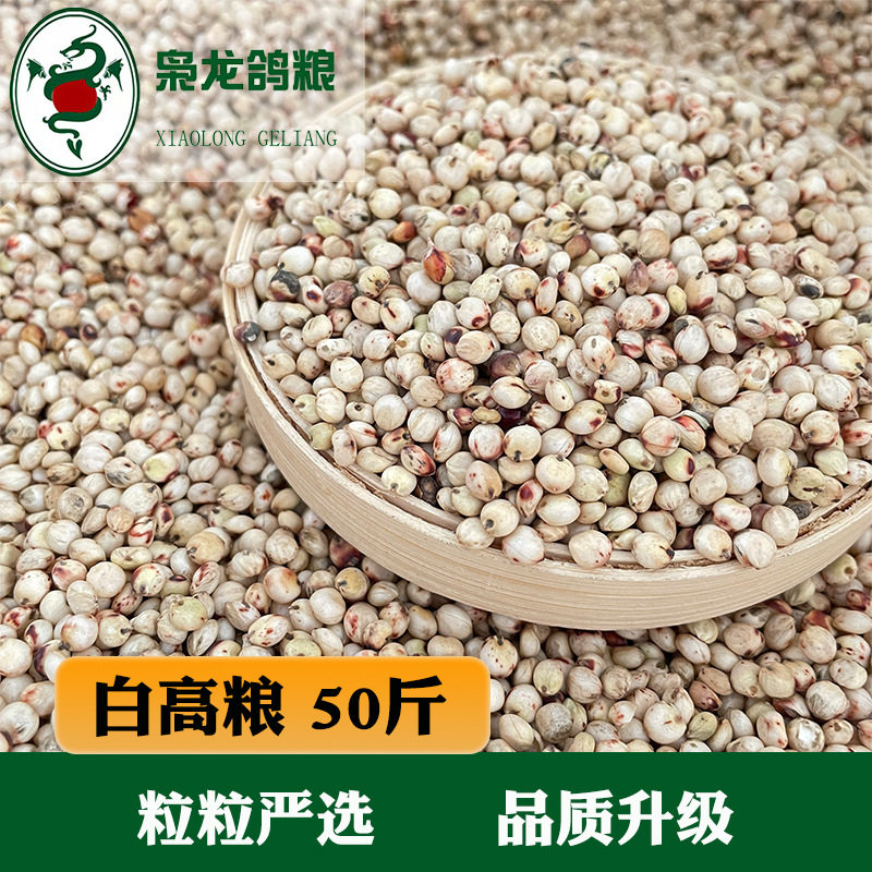 枭龙鸽粮白高粱鸽子食赛鸽信鸽观赏鸽澳粮批发50斤