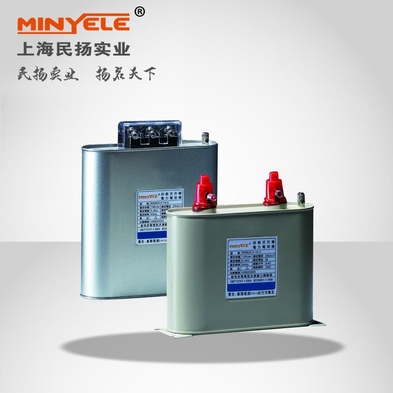 上海民扬实业BSMJ-0.4-12-1低压自愈式并联电力电容器户外成套柜