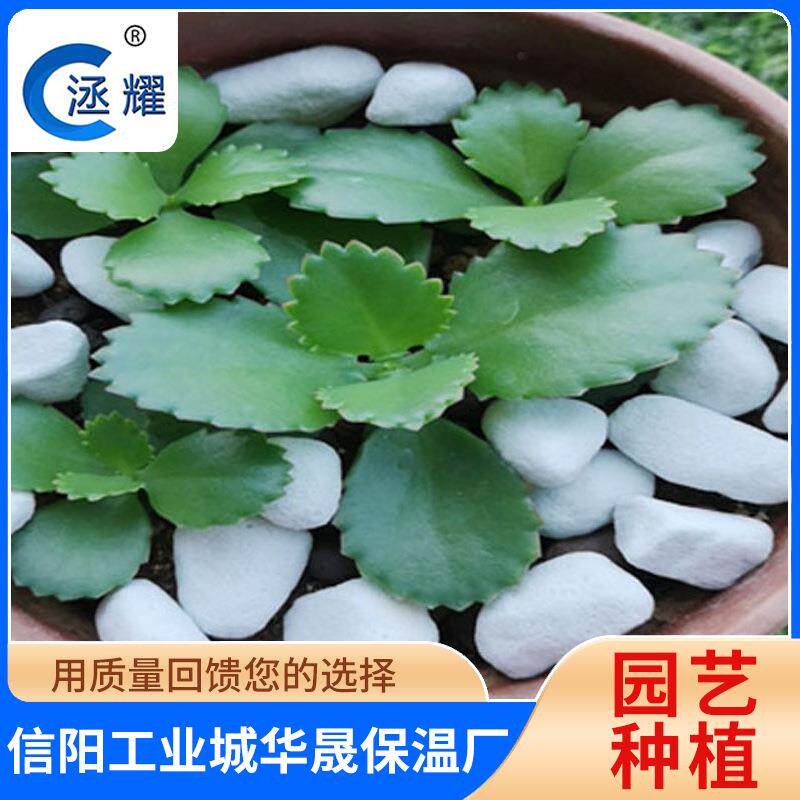 兰花种植用珍珠岩大颗粒8-12毫米铺底铺面园艺珍珠岩8-15MM