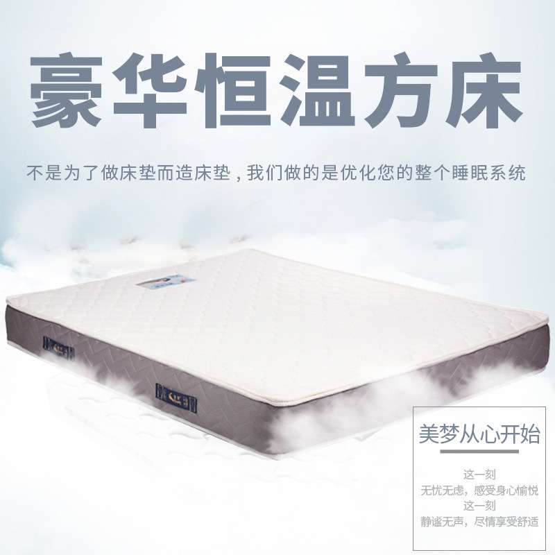 悠爱得家用双人单人电动恒温水床垫多功能成人大波浪水床垫