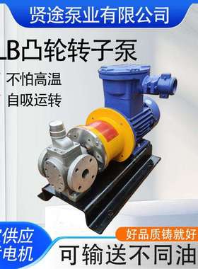 YCB不锈钢圆弧磁力齿轮泵化工磁力泵电动磁力齿轮油泵