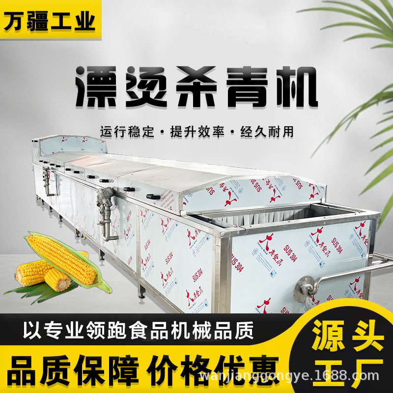 蔬菜山野菜杀青漂烫机 连续式笋片蒸煮设备 速冻蔬菜漂烫流水线