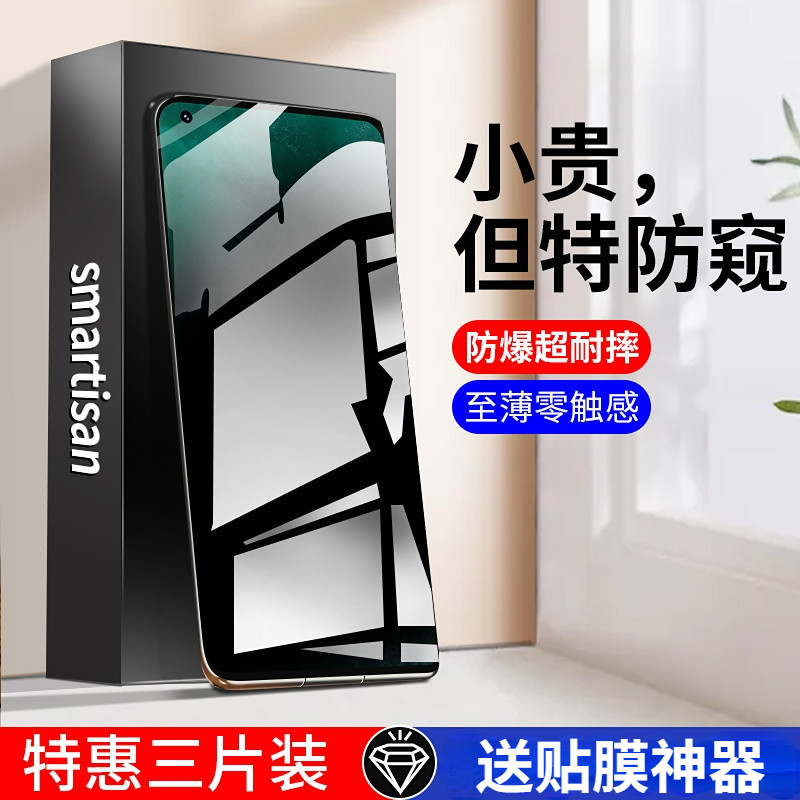 适用锤子坚果R2防窥膜pro