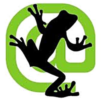 尖叫青蛙seo站长工具会员 Screaming Frog SEO Spider 1年vip会员