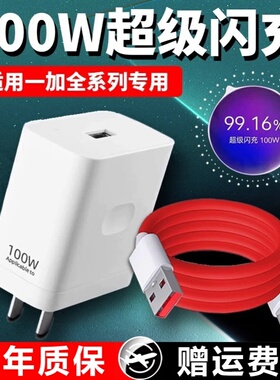 100W充电器适用一加Ace2/3/Pro充电器ace2V/3V充电头10A超级闪充一加8 9 10 11 12手机快充头Type-C加长线