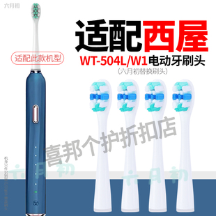 六月初适配Westinghouse西屋电动牙刷头WT-504L/W1通用成人替换
