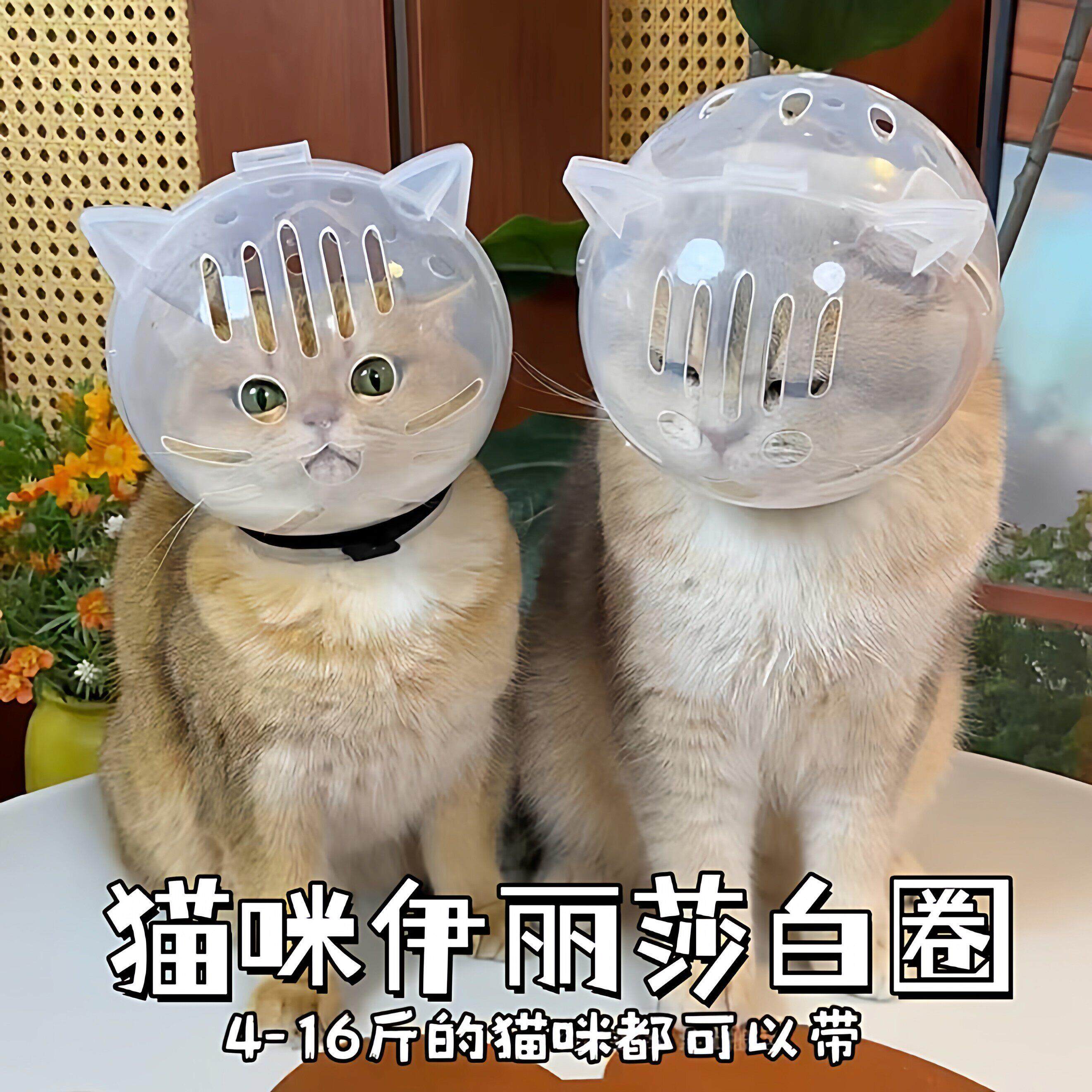 猫咪伊丽莎白圈幼猫成猫通用剪指甲上药头套防舔防咬球形太空头罩