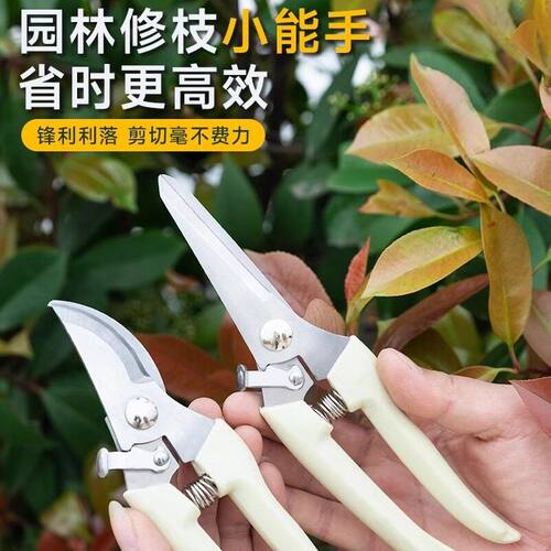 园艺剪刀果树枝采摘修枝剪刀高效园林修花枝嫁接剪家用工具多功能