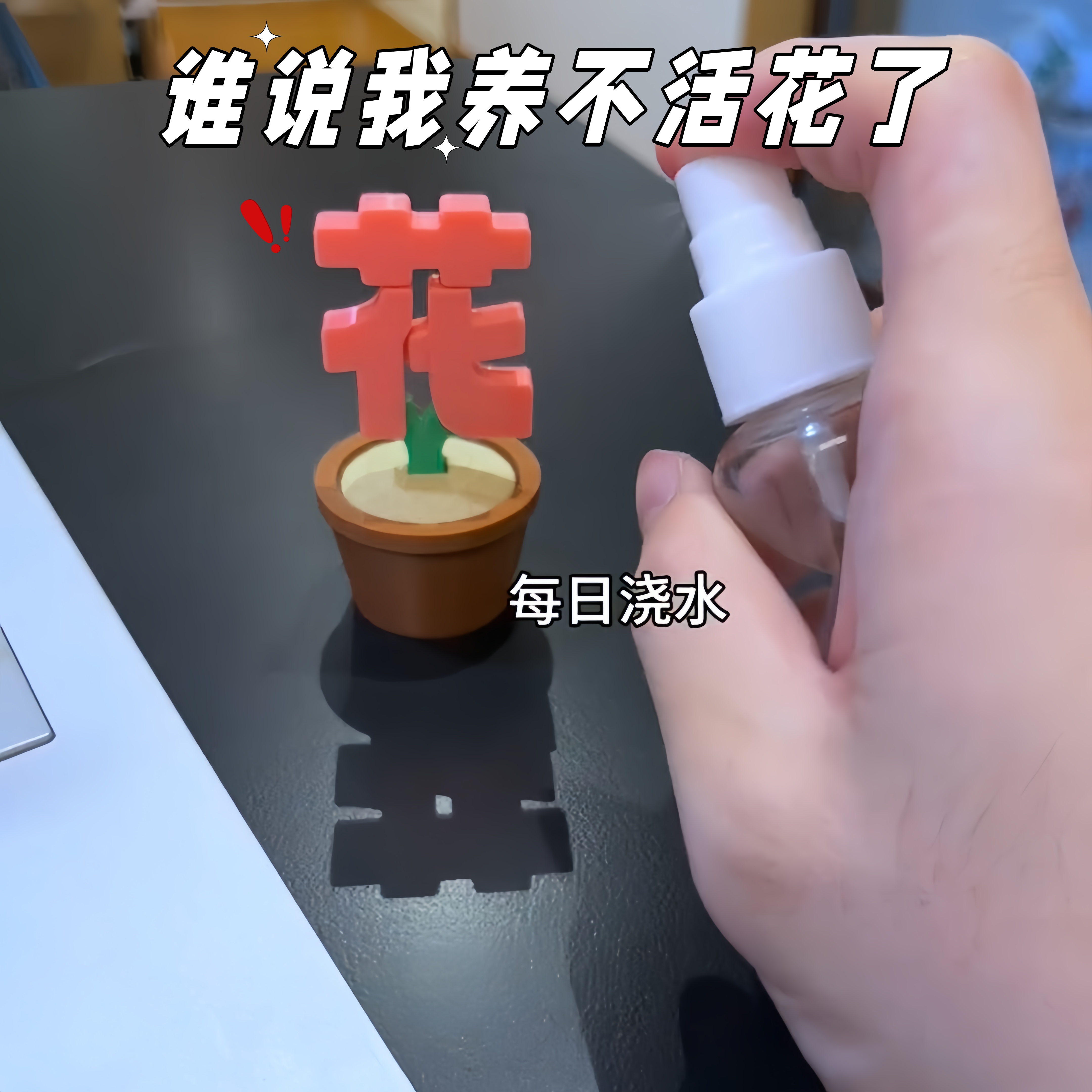 这下我看谁再说我养不活绿植摆件