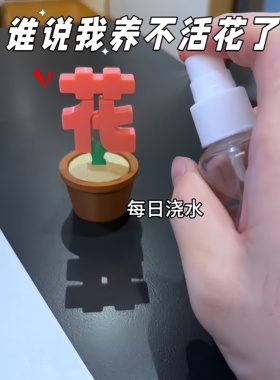 这下我看谁再说我养不活绿植摆件